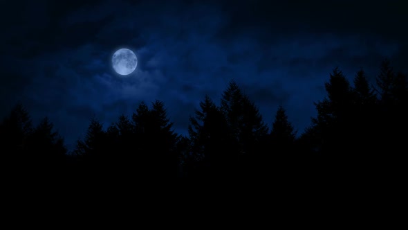 Moon Above The Woods At Night