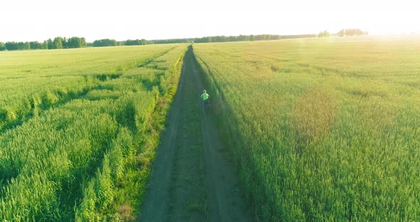 Aerial View on Young Boy, That Rides a Bicycle Thru a Wheat Grass Field on the Old Rural Road