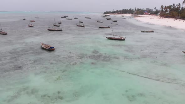 Lot Fishing Boats Stuck in Sand Off Coast at Low Tide Zanzibar Aerial View