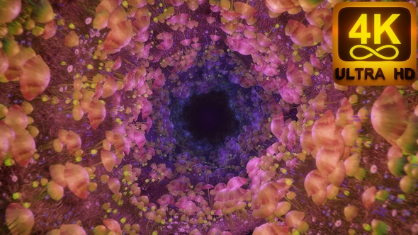Trippy Psychedelic Magic Mushrooms Fly Tunnel Art Animation For Beautiful Music Background