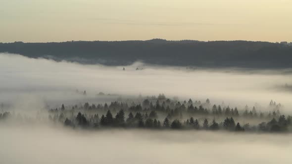 Aerial view of fog in the forest, Pupplinger Au, Germany