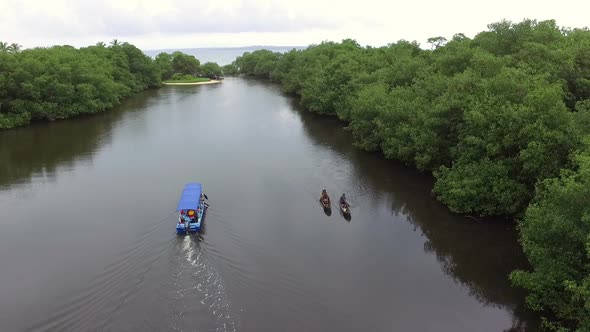 By Boat Through the Canals of Salt Creek Mangroves