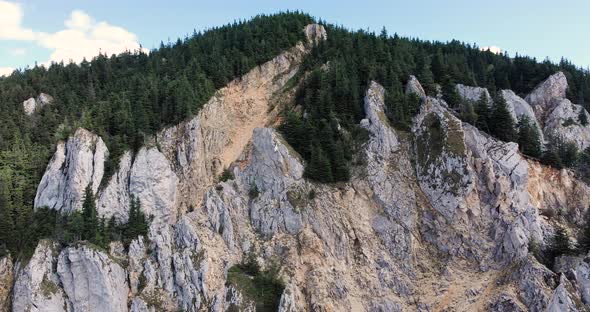 Scenic Rocky Formation Of Hasmasul Mare Mountain With Dense Pine Tree Foliage In Piatra Singuratica,