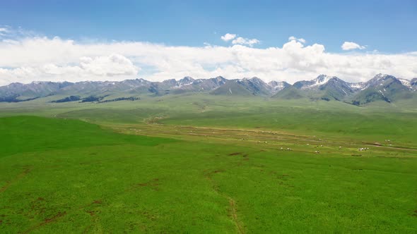 Mountains and grassland in a sunny day