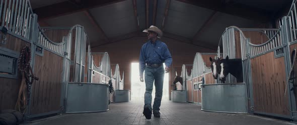 Cowboy walking in a stable