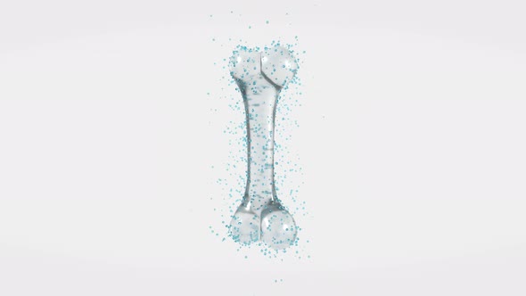 Recovery of the bone isolated on white background alt