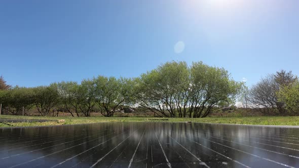 Time Lapse Pf Photovoltaic Modules with Trees and Cows in the Background