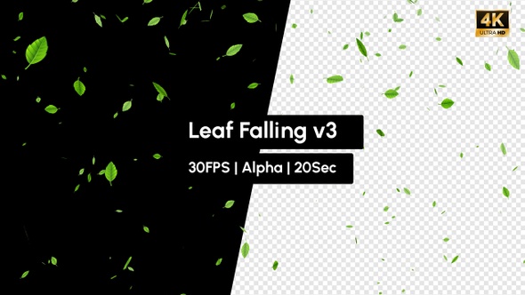 Green Leaf Falling Rain Leaves v3 with Alpha