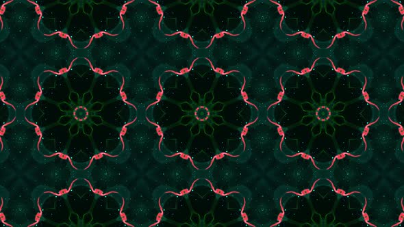 Mandala kaleidoscope background. Vd 1461