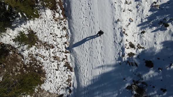 Snow Hiking