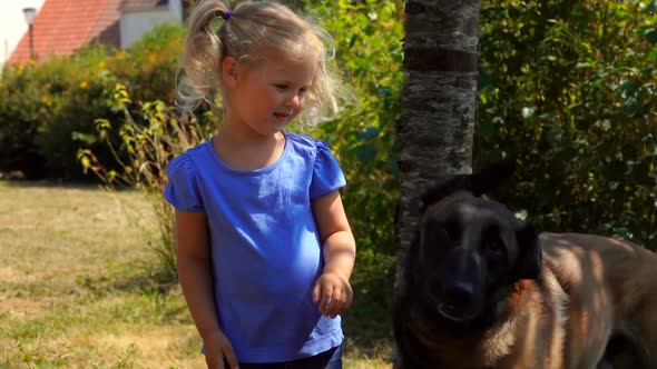 Cute Little Blond Girl Caresses a Belgian Shepherd Dog Outdoors