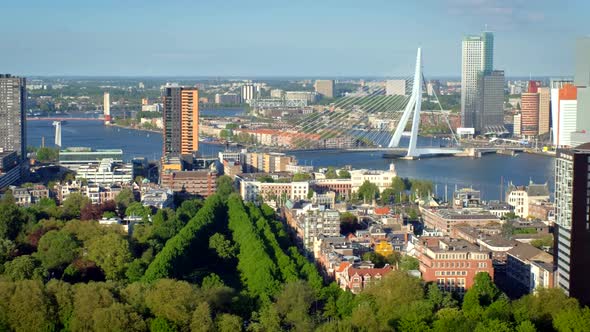 View of Rotterdam City and the Erasmus Bridge Erasmusbrug