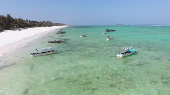 Boats are Anchored Off the Coast on Shallow Ocean at Low Tide Aerial Zanzibar