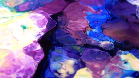 Vibrant Colours Paint Swirling Explosion 76 alt