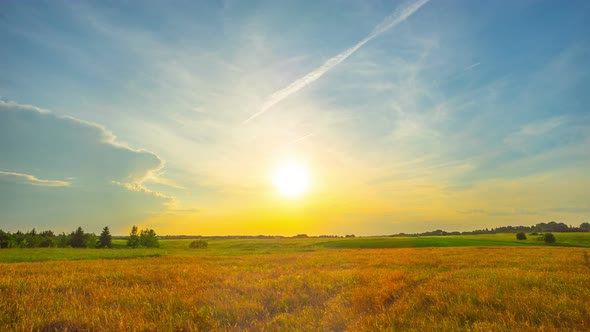 Sunset over a field of rye