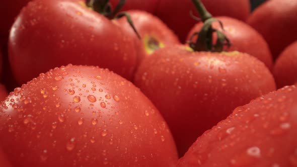 Macro Shot of Fresh Tomatoes