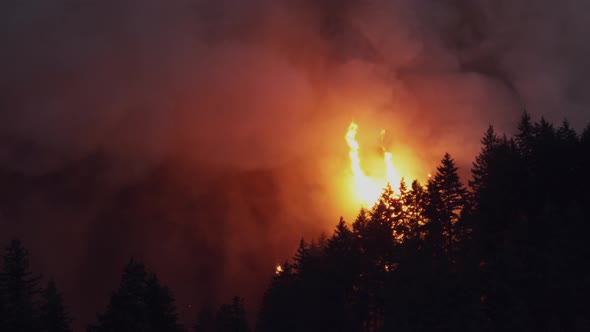 Forest Fire Near Portland Oregon