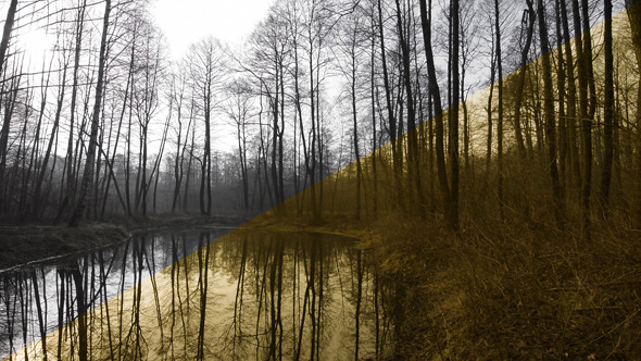 Forest & Pond (2 versions)