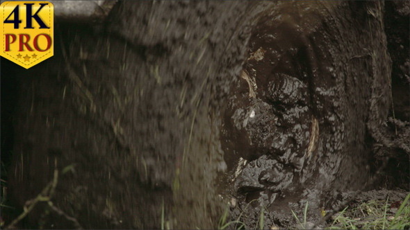 The Wheel of a 4x4 Offroad Truck With Lots of Mud  alt