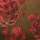 2019-nCov COVID-19 omicron delta coronavirus corona virus cells influenza H1N1 Flu - VideoHive Item for Sale