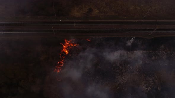 Massive Fire, Dry Grass Lanes in Fire, Firefighters at Work, Disaster, Ecological Catastrophe