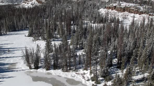 Aerial view above forest and lake frozen in winter