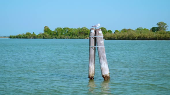 View of Old Wooden Channel Markers in Venetian Lagoon