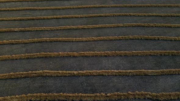 Aerial drone view of harvested wheat field from above in Canadian prairie.