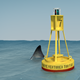 Shark and the Buoy - VideoHive Item for Sale