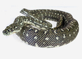 Diamond python 6 - PhotoDune Item for Sale