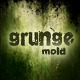 Grunge backgrounds - Mold decay - GraphicRiver Item for Sale