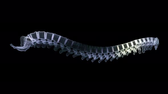 Futuristic Holographic X-ray Scanning Human Body Part - Backbone 01