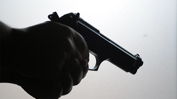Gun Silhouette