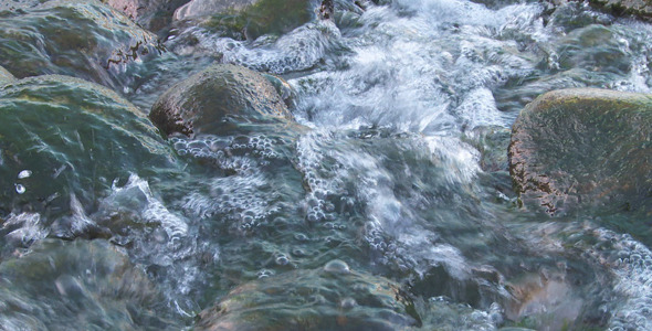 Slimy River Stream 