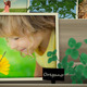 Spring & Summer Papercraft Window Scene - VideoHive Item for Sale