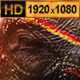 Decorated Elephant in Nepal - VideoHive Item for Sale