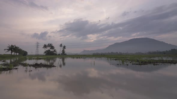 Timelapse reflection with pink colorful sunrise in flood area