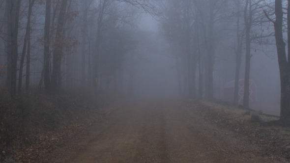 Scary Foggy Forest Road