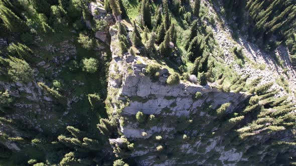 A High Rock in Middle of the Forest in Mountains