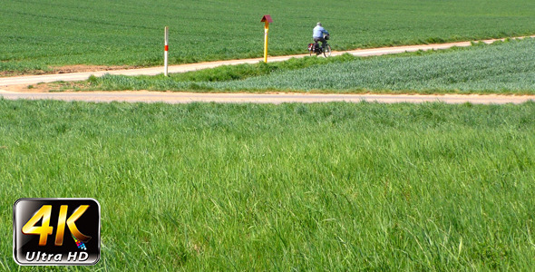Riding Bike in Field 3