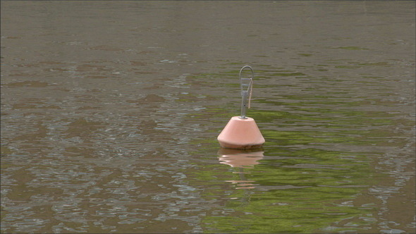 A Buoy Floating in the Sea