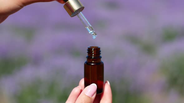 Skincare cosmetic lavender oil bottle on the lavender field. A woman's hand holds a dropper