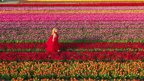 Woman in a Blooming Tulips Field