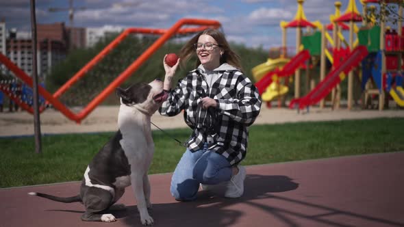 Smiling Charming Young Woman Playing with Dog Imitating Ball Throwing in Slow Motion in Sunshine