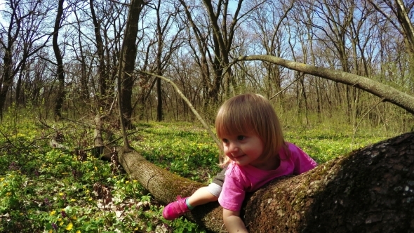 Walk In Forest Girls alt