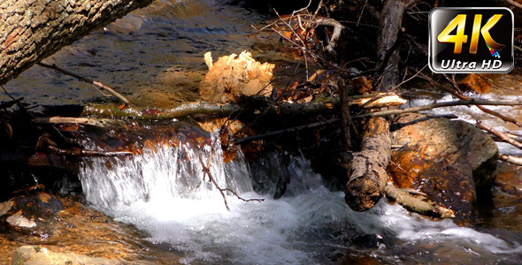 Waterfall Creek in Nature 5