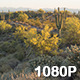 Sunrise over Arizona Desert Hiking Trail - VideoHive Item for Sale