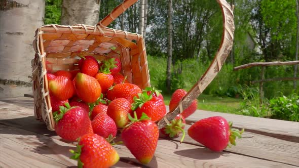 Big Strawberries Rolling on the Wooden Surface