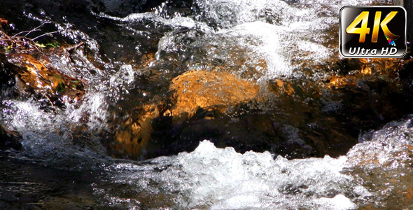 Waterfall Creek in Nature 6