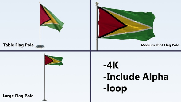 Guyana   Flag Pack 4k-Loop 